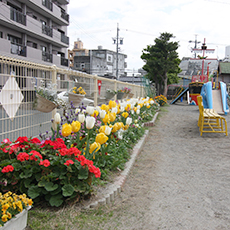 成子幼稚園の概要